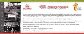 Complejo Forestal y Maderero Panguipulli