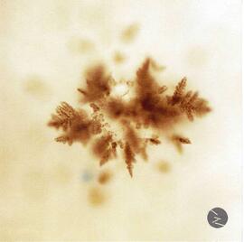 Monumento a las víctimas del terrorismo de Estado. Parque por la Memoria